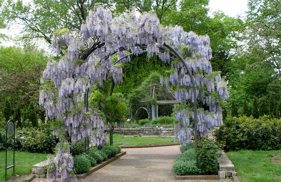 Inniswood Metro Gardens, United States